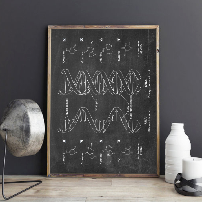 DNA สิทธิบัตร Wall Art Genetic - Star Map Poster บทวิจารณ์และราคา