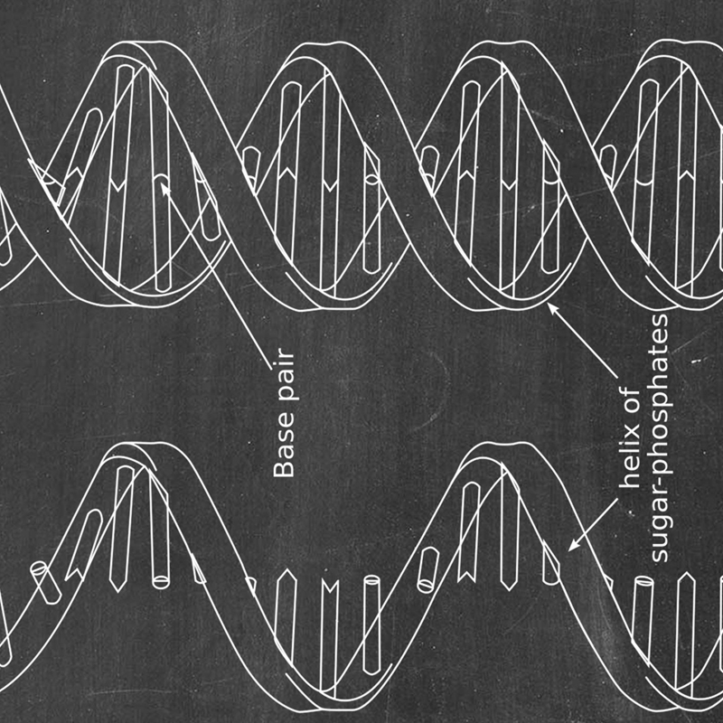 DNA สิทธิบัตร Wall Art Genetic - Star Map Poster บทวิจารณ์และราคา