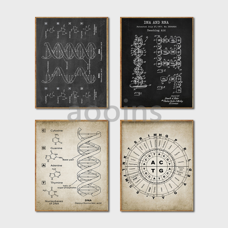 DNA สิทธิบัตร Wall Art Genetic - Star Map Poster บทวิจารณ์และราคา